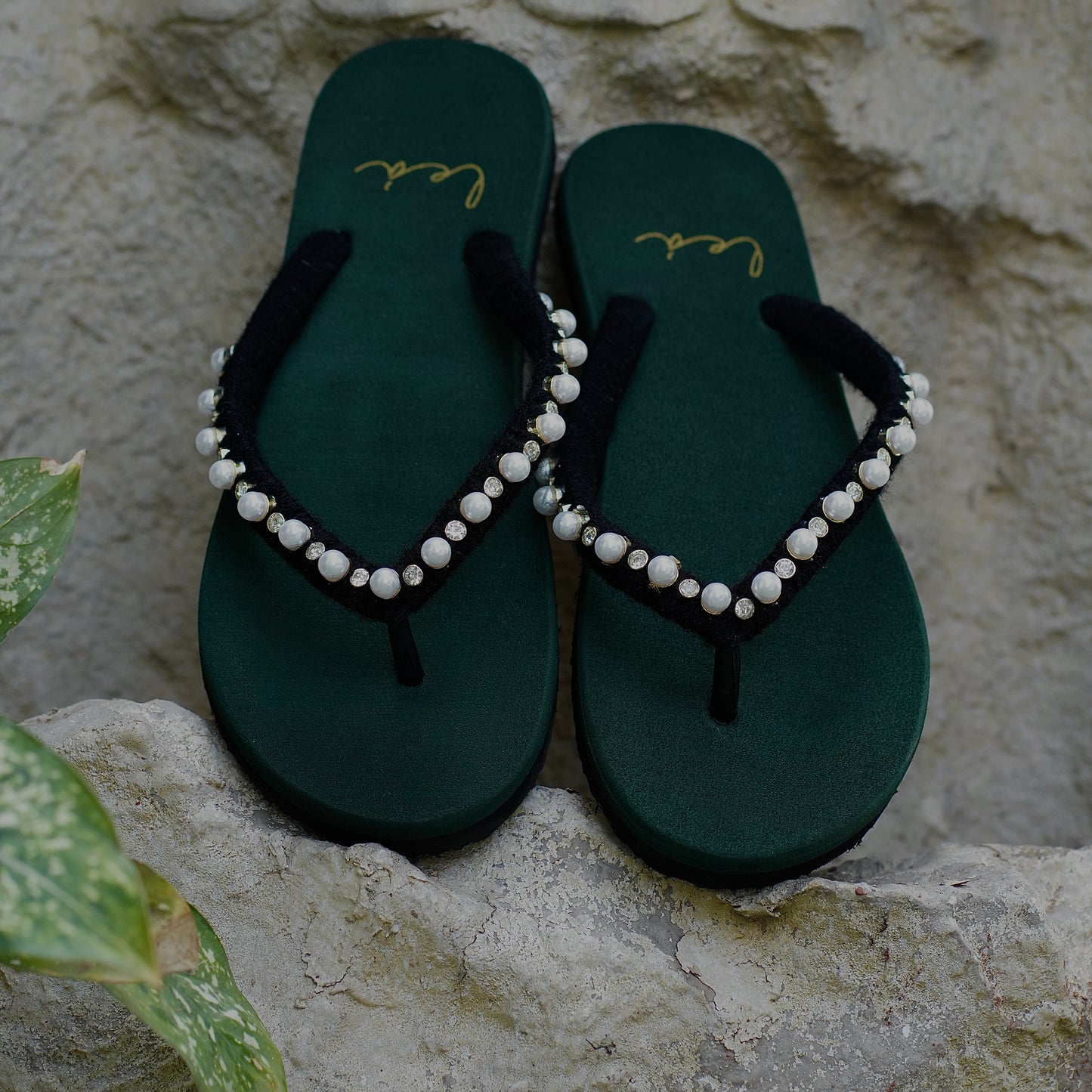 OCEANA IN GREEN