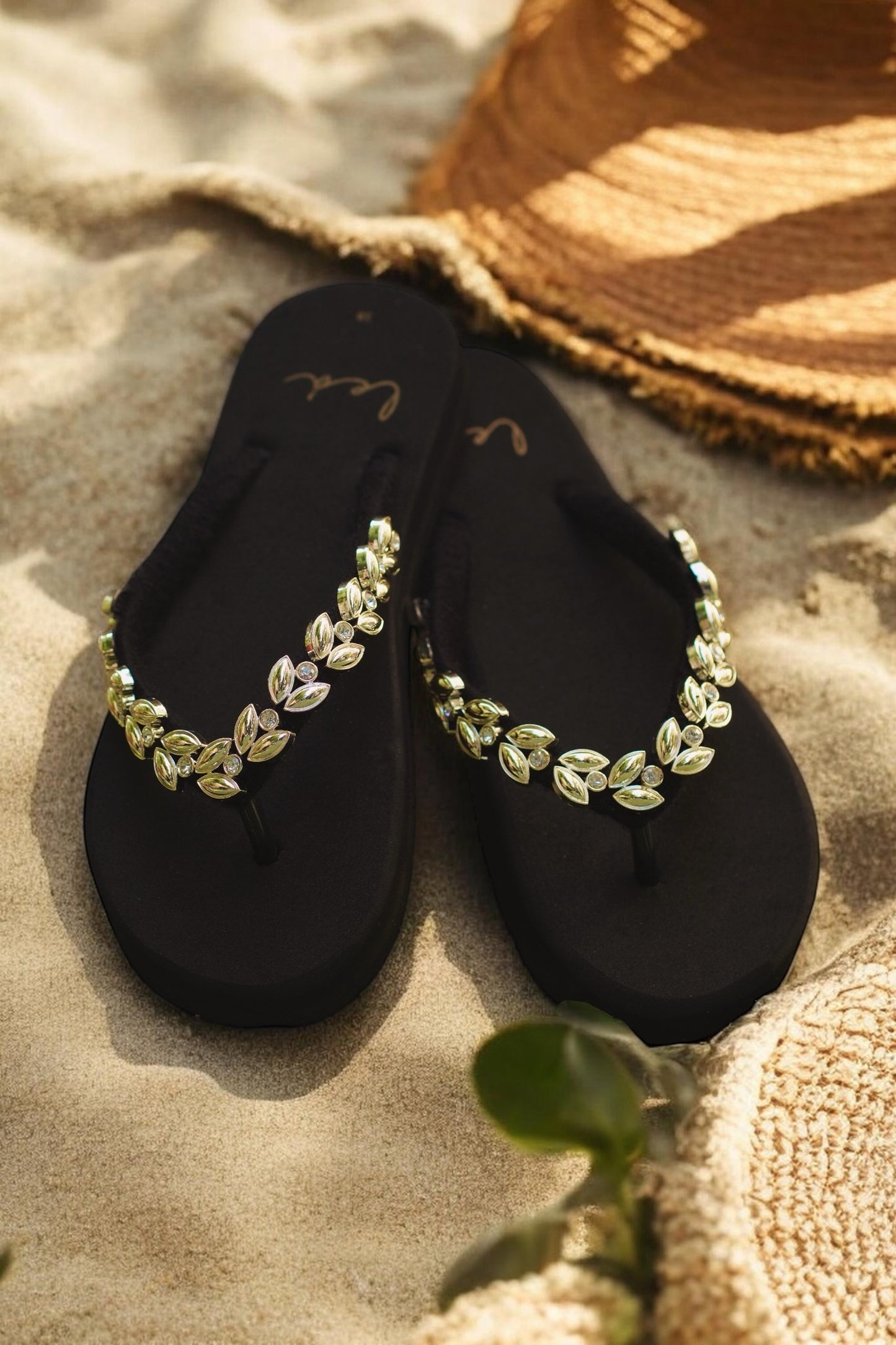 OXALIS IN BLACK